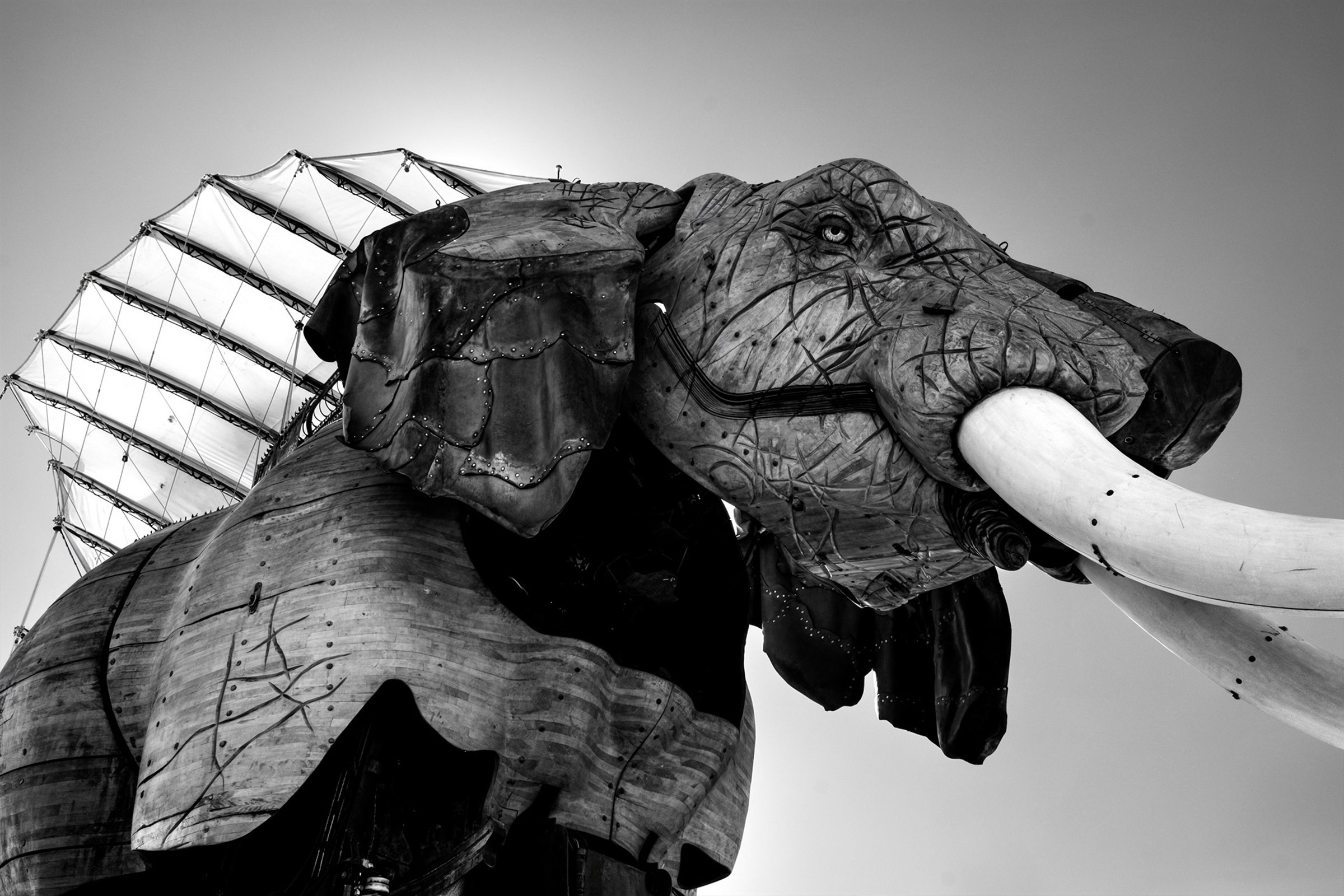 Éléphant 2, Nantes